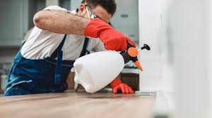 Best Residential Pest Control  in Atlantic Beach, FL